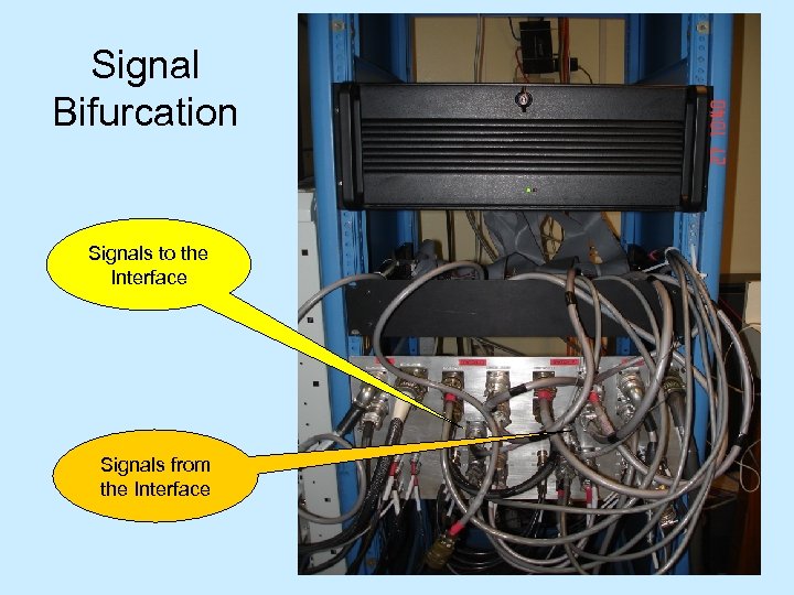 Signal Bifurcation Signals to the Interface Signals from the Interface 