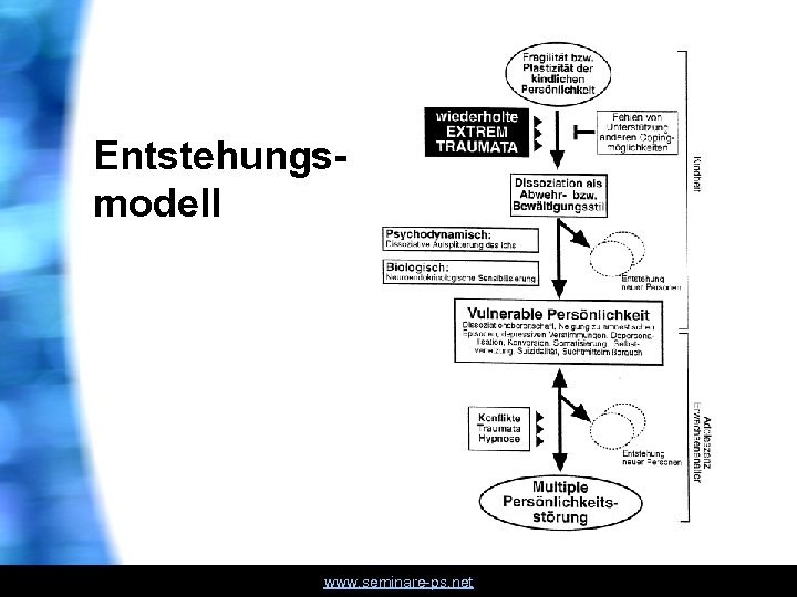 Entstehungsmodell www. seminare ps. net 