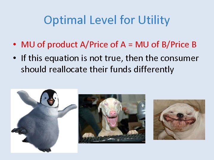 Optimal Level for Utility • MU of product A/Price of A = MU of