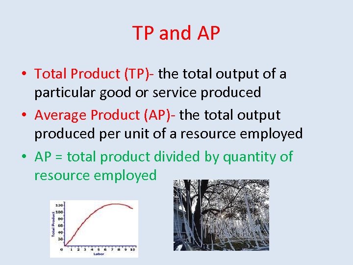 TP and AP • Total Product (TP)- the total output of a particular good