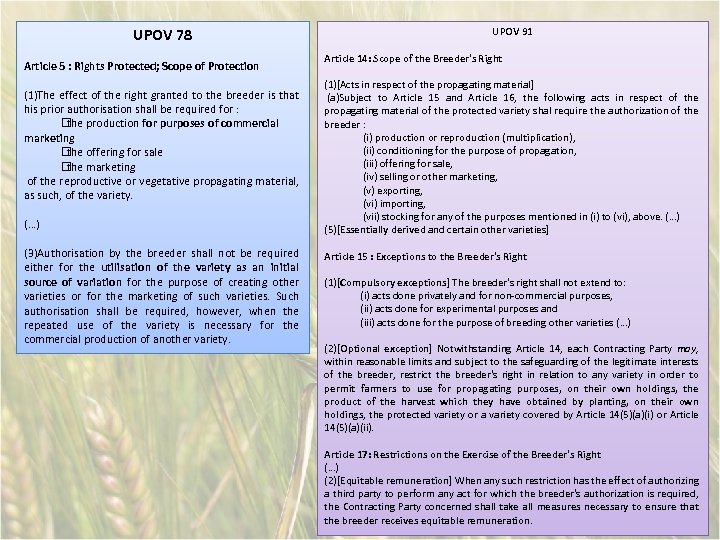 UPOV 78 Article 5 : Rights Protected; Scope of Protection (1)The effect of the