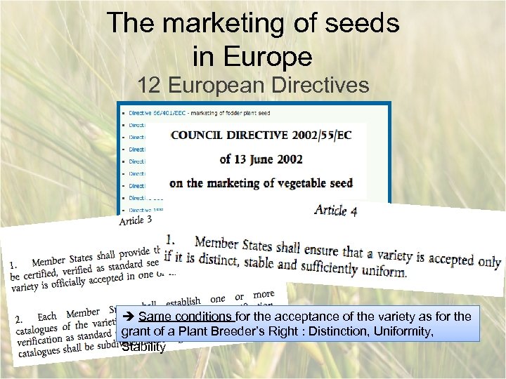 The marketing of seeds in Europe 12 European Directives Same conditions for the acceptance