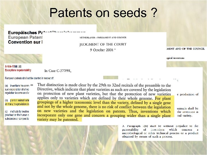 Patents on seeds ? 