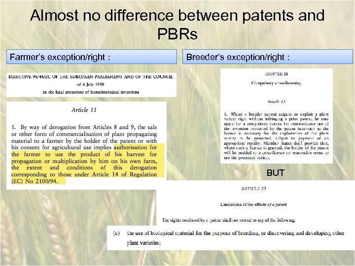 Almost no difference between patents and PBRs Farmer’s exception/right : Breeder’s exception/right : BUT