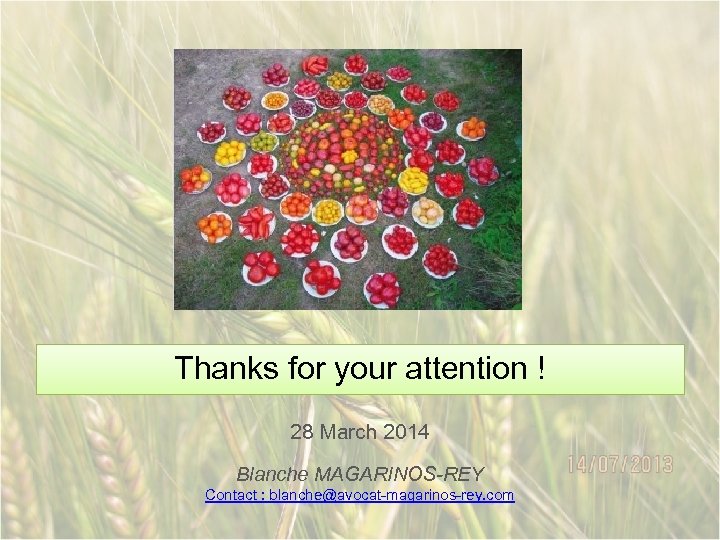 Thanks for your attention ! 28 March 2014 Blanche MAGARINOS-REY Contact : blanche@avocat-magarinos-rey. com