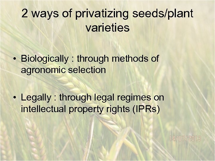 2 ways of privatizing seeds/plant varieties • Biologically : through methods of agronomic selection