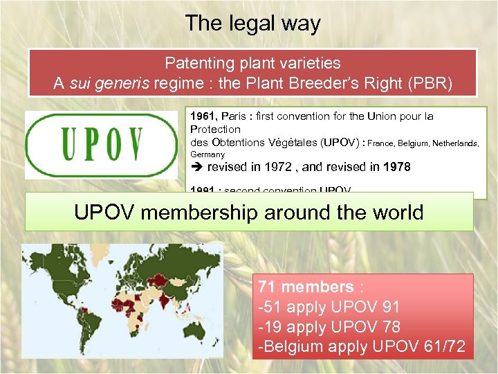 The legal way Patenting plant varieties A sui generis regime : the Plant Breeder’s