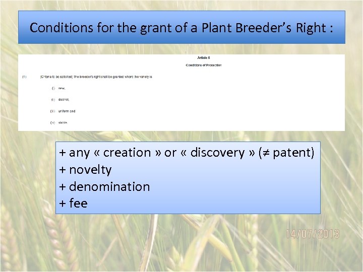 Conditions for the grant of a Plant Breeder’s Right : + any « creation