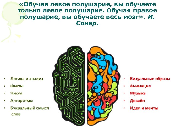Что находится в полушариях мозга. Мозг человека полушария. Правое полушарие головного мозга. За что отвечает правое полушарие. Полушария мозга за что отвечают.