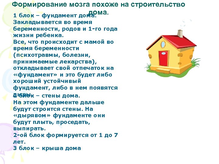 Формирование мозга похоже на строительство дома. 1 блок – фундамент дома. Закладывается во время