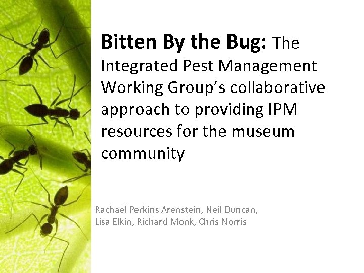 Bitten By the Bug: The Integrated Pest Management Working Group’s collaborative approach to providing