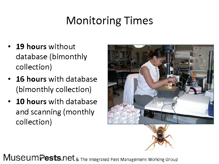 Monitoring Times • 19 hours without database (bimonthly collection) • 16 hours with database