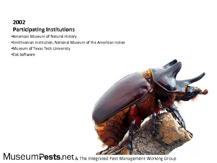 2002 Participating Institutions • American Museum of Natural History • Smithsonian Institution, National Museum