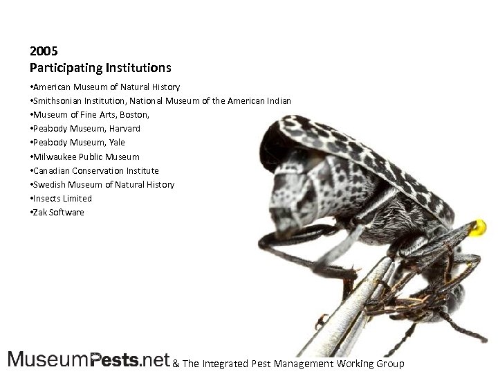 2005 Participating Institutions • American Museum of Natural History • Smithsonian Institution, National Museum