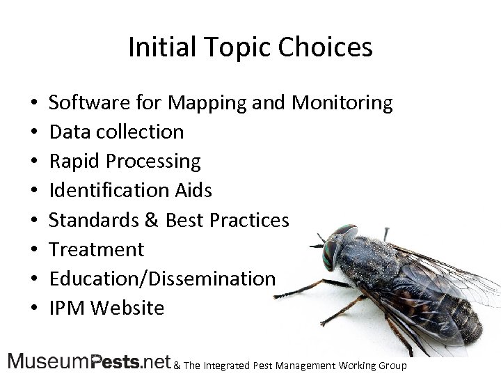 Initial Topic Choices • • Software for Mapping and Monitoring Data collection Rapid Processing