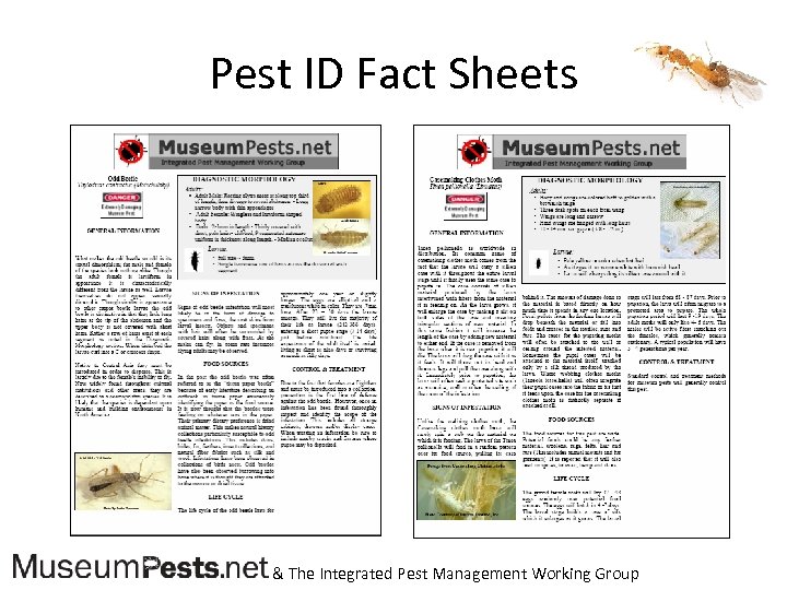 Pest ID Fact Sheets & The Integrated Pest Management Working Group 