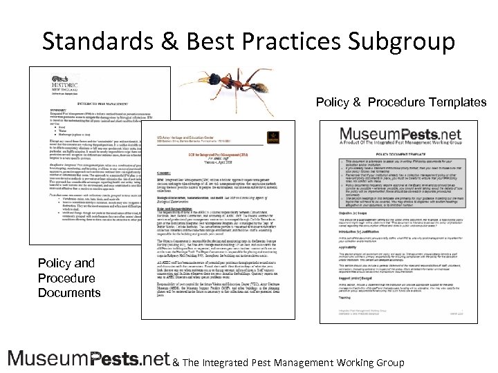 Standards & Best Practices Subgroup Policy & Procedure Templates Policy and Procedure Documents &