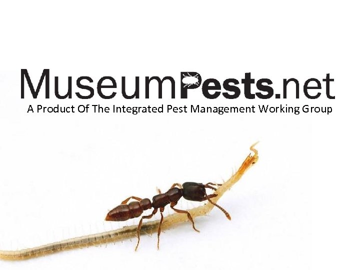  A Product Of The Integrated Pest Management Working Group & The Integrated Pest