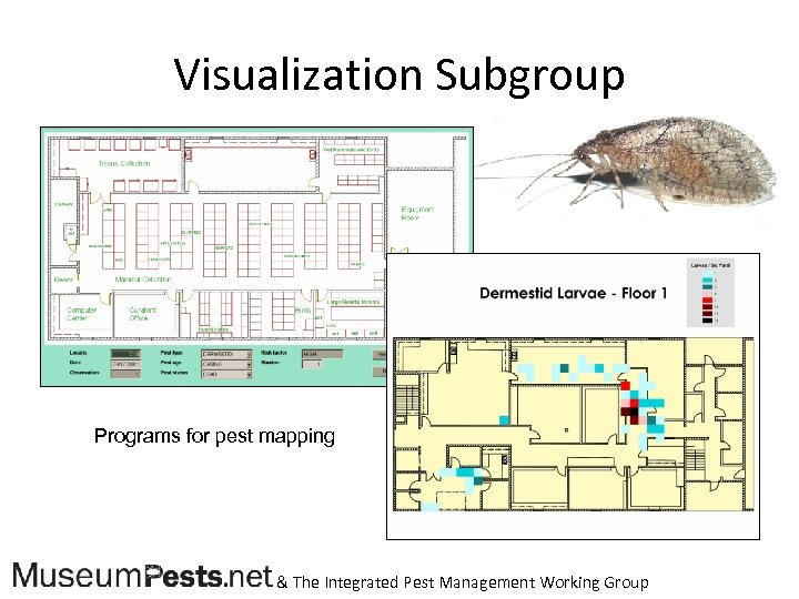 Visualization Subgroup Programs for pest mapping & The Integrated Pest Management Working Group 