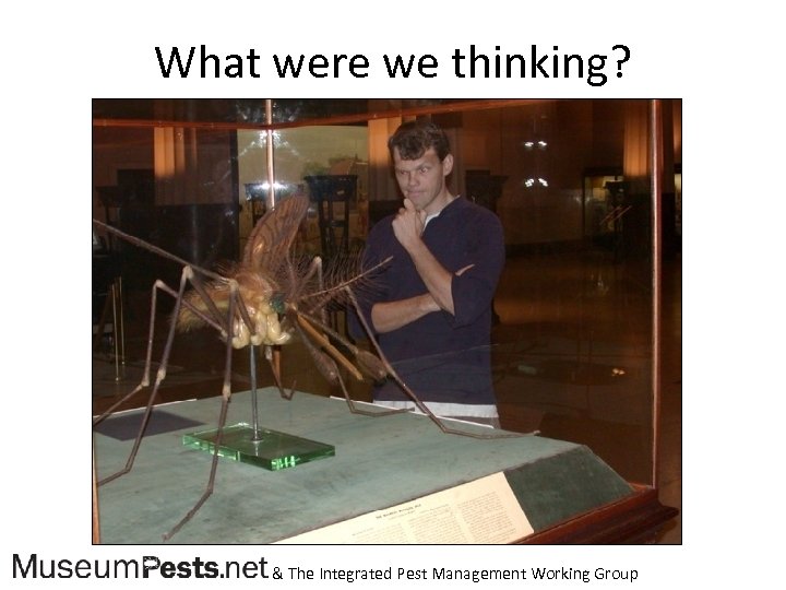 What were we thinking? & The Integrated Pest Management Working Group 