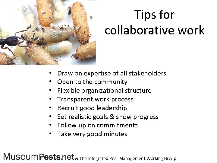 Tips for collaborative work • • Draw on expertise of all stakeholders Open to