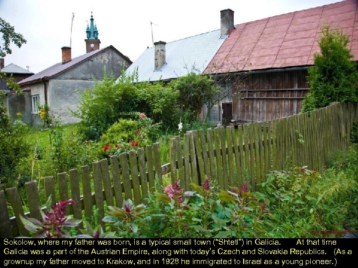 Sokolow, where my father was born, is a typical small town (“Shtetl”) in Galicia.