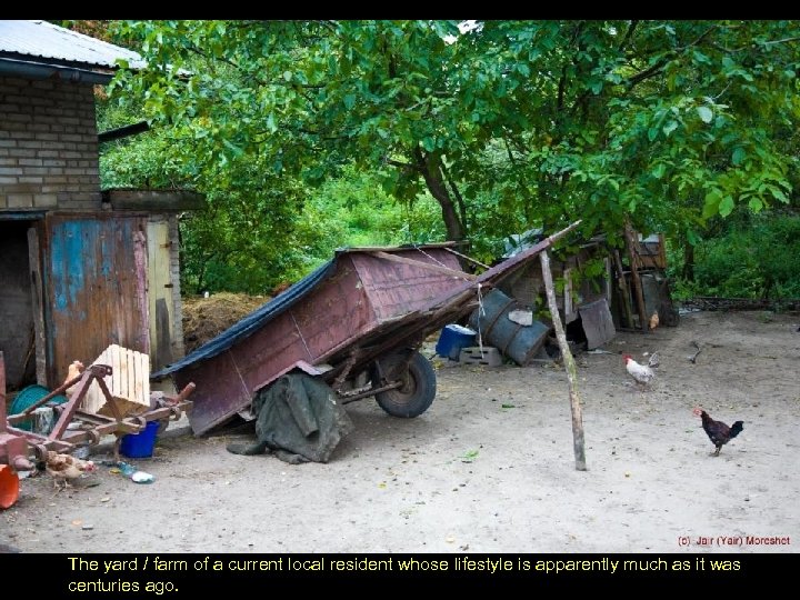 The yard / farm of a current local resident whose lifestyle is apparently much