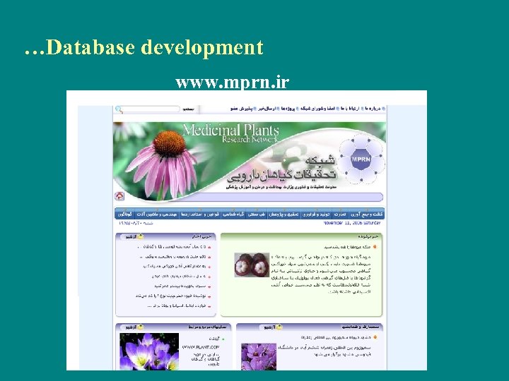 …Database development www. mprn. ir 