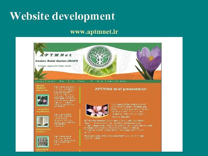 Website development www. aptmnet. ir 