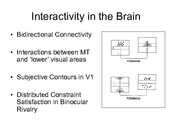 Interactivity in the Brain • Bidirectional Connectivity • Interactions between MT and ‘lower’ visual