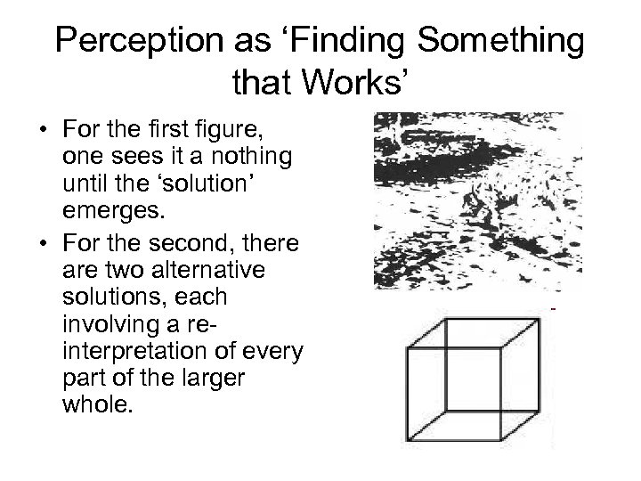 Perception as ‘Finding Something that Works’ • For the first figure, one sees it