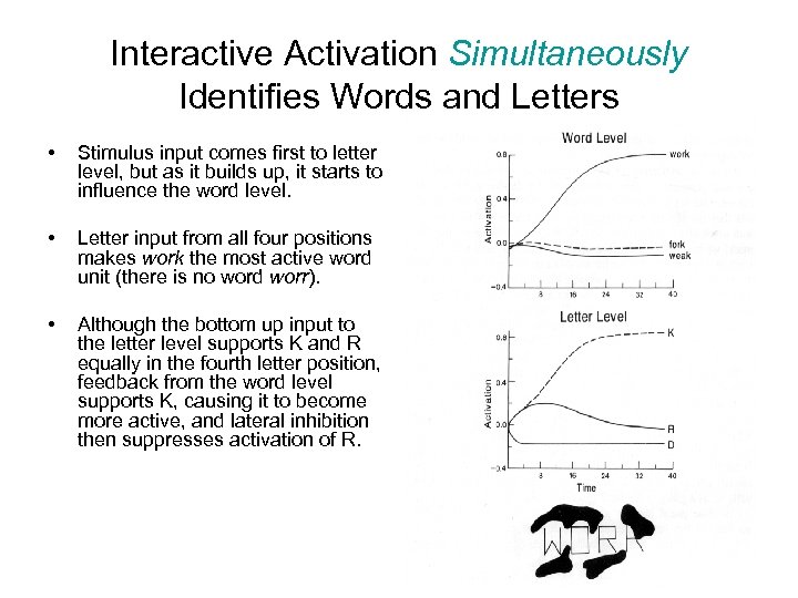 Interactive Activation Simultaneously Identifies Words and Letters • Stimulus input comes first to letter