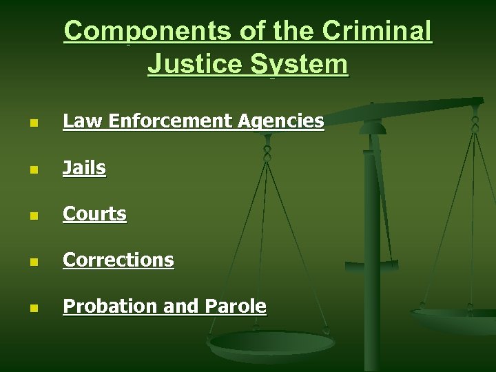 Components of the Criminal Justice System n Law Enforcement Agencies n Jails n Courts