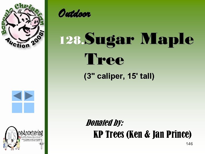 Outdoor 128. Sugar Tree Maple (3" caliper, 15' tall) Donated by: KP Trees (Ken