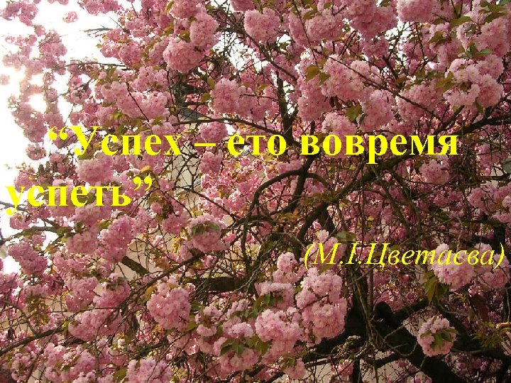 “Успіх – цеето вовремя “Успех – встигнути” (М. І. Цветаєва) успеть” (М. І. Цветаєва)