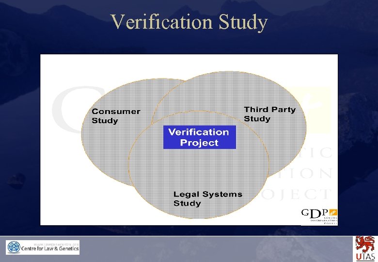 Verification Study 