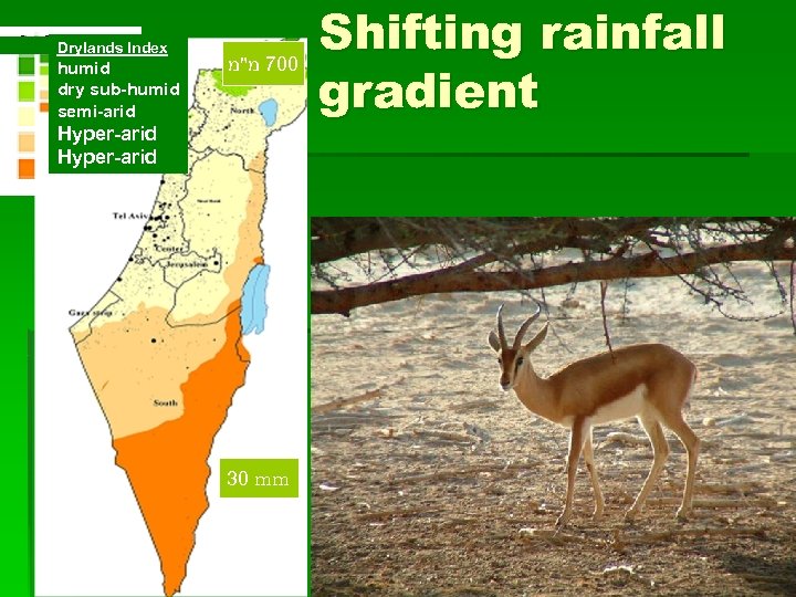 Drylands Index humid dry sub-humid semi-arid 007 מ