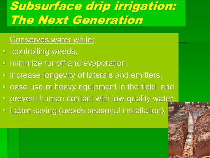 Subsurface drip irrigation: The Next Generation § § § Conserves water while: controlling weeds,