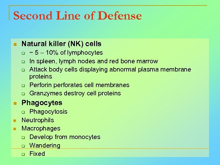 Second Line of Defense n Natural killer (NK) cells q q q n Phagocytes