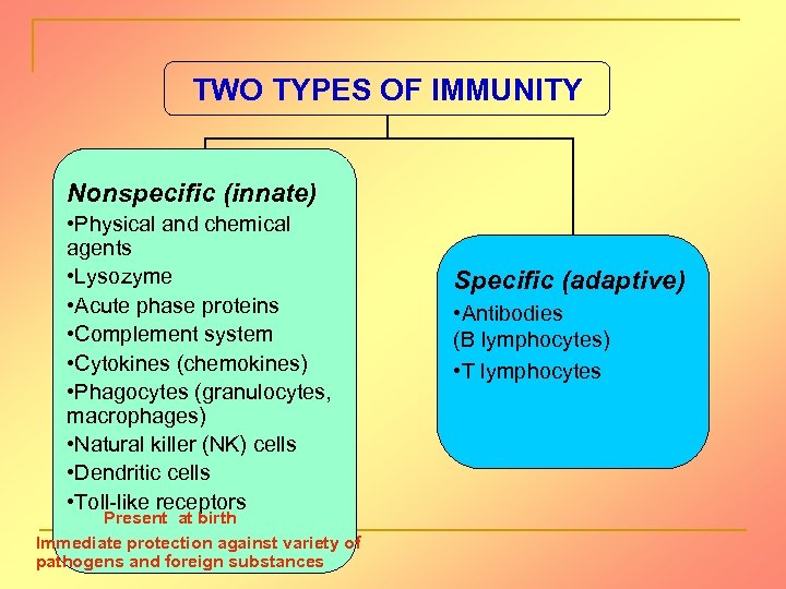 TWO TYPES OF IMMUNITY Nonspecific (innate) • Physical and chemical agents • Lysozyme •