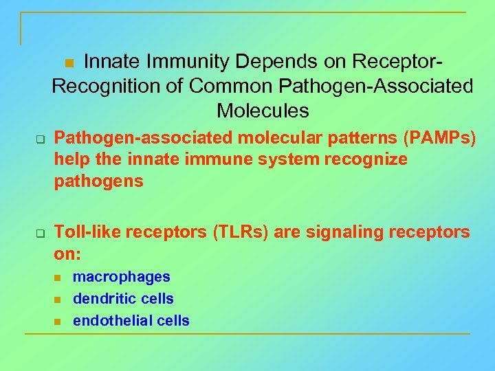 Innate Immunity Depends on Receptor. Recognition of Common Pathogen-Associated Molecules n q q Pathogen-associated