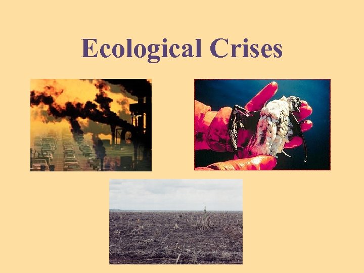 Ecological Crises 