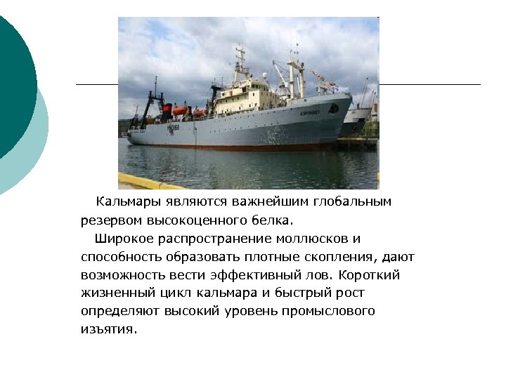 Кальмары являются важнейшим глобальным резервом высокоценного белка. Широкое распространение моллюсков и способность образовать плотные