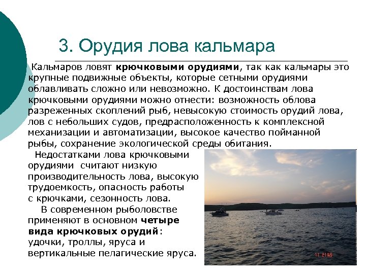 3. Орудия лова кальмара Кальмаров ловят крючковыми орудиями, так кальмары это крупные подвижные объекты,