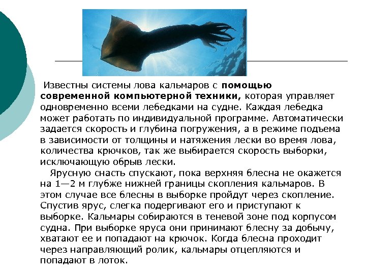 Известны системы лова кальмаров с помощью современной компьютерной техники, которая управляет одновременно всеми лебедками