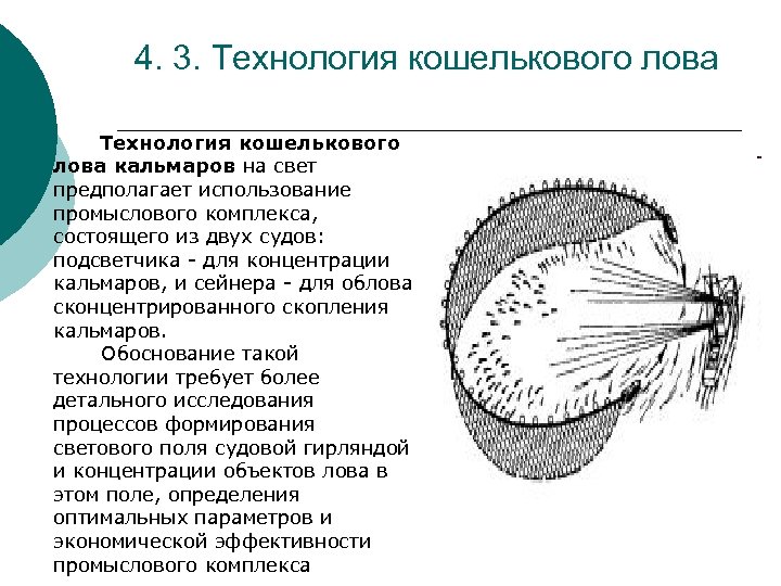 4. 3. Технология кошелькового лова кальмаров на свет предполагает использование промыслового комплекса, состоящего из