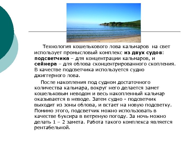 Технология кошелькового лова кальмаров на свет использует промысловый комплекс из двух судов: подсветчика –
