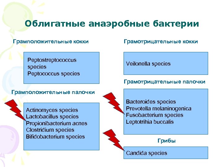 Облигатные анаэробные бактерии Грамположительные кокки Peptostreptococcus species Peptococcus species Грамотрицательные кокки Veilonella species Грамотрицательные