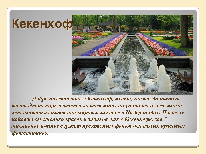 Кекенхоф Добро пожаловать в Кекенхоф, место, где всегда цветет весна. Этот парк известен во