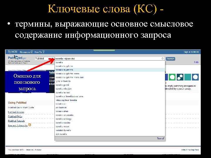 Ключевые слова (КС) • термины, выражающие основное смысловое содержание информационного запроса Окошко для поискового